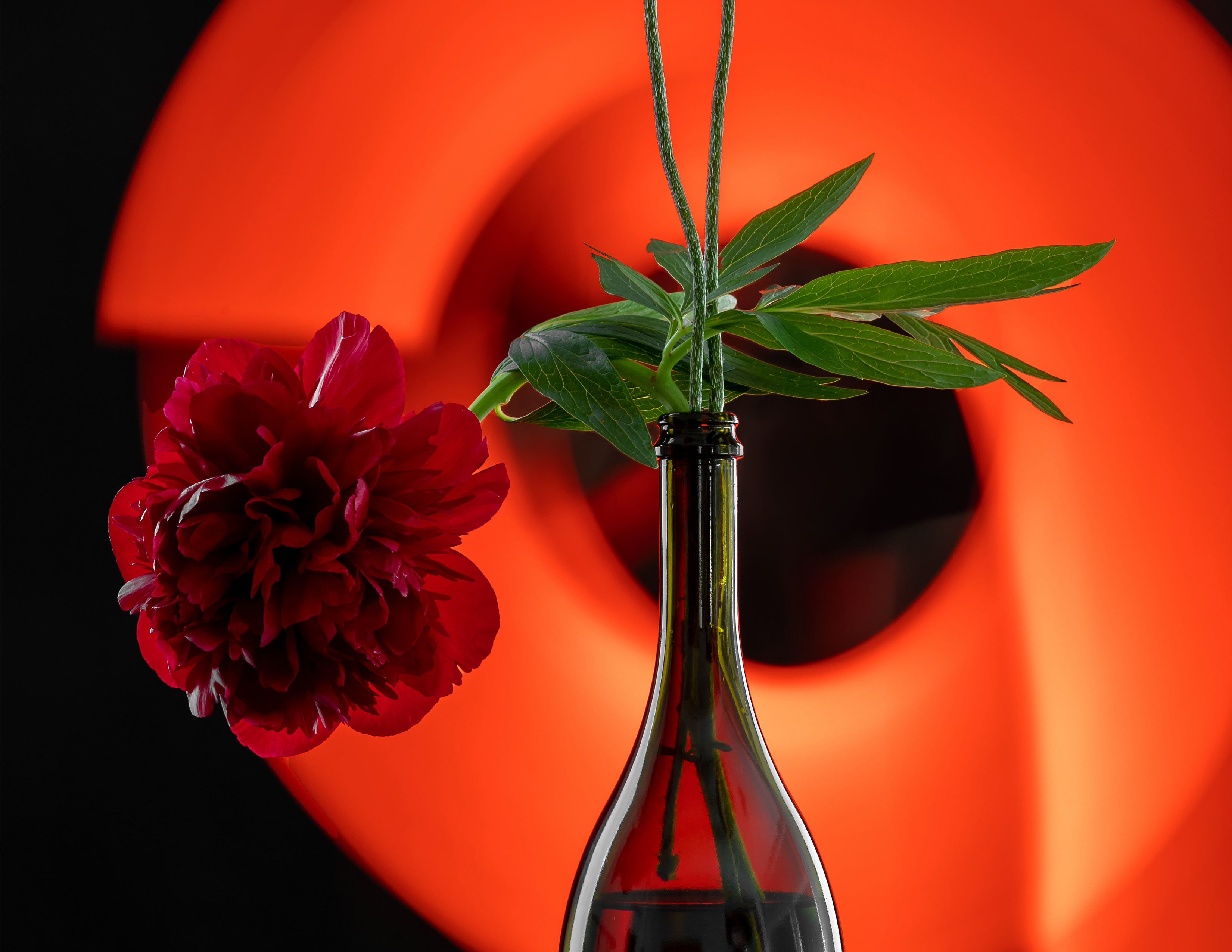 Deep crimson light falling across a dark studio wall
